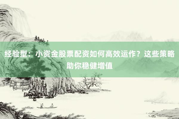 经验型:小资金股票配资如何高效运作?这些策略助你稳健增值